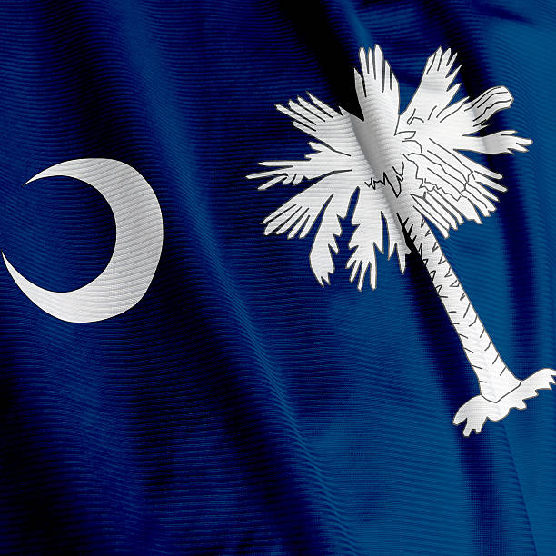 istock South Carolina Flag Closeup 96662765