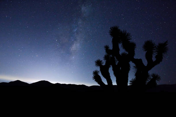 istock California Desert Milky Way 966636062