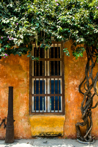 istock Decorated window in Cartagena 966659320