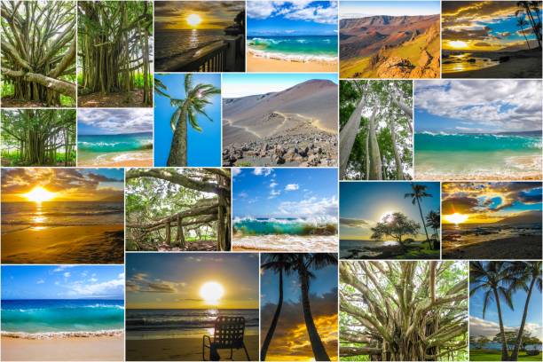 istock Maui pictures collage 966666676