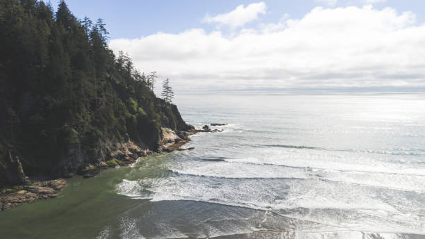istock Aerial View of Oregon Coast 966674752