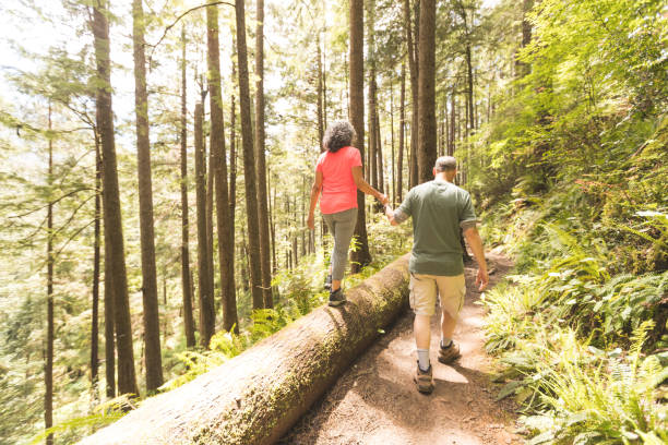 istock Senior Couple on a Day Hike in Forest 966676946