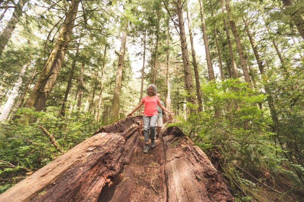 istock Senior Couple on a Day Hike in Forest 966676956