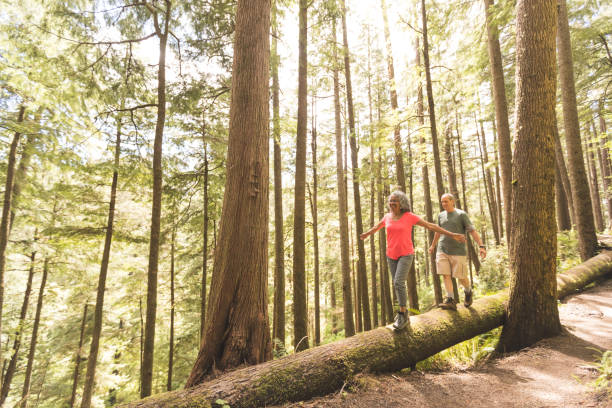 istock Senior Couple on a Day Hike in Forest 966676962