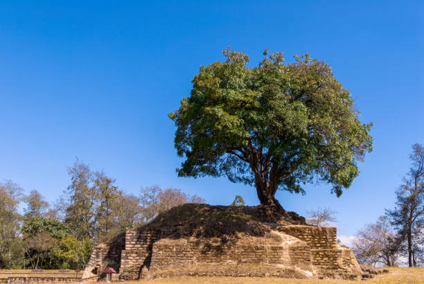 sitio arqueológico precolombino de iximché en el altiplano occidental de guatemala. fundada en 1470. capital del reino maya kaqchikel en el posclásico tardío. - iximche fotografías e imágenes de stock