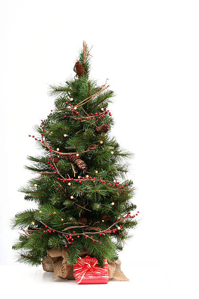 árvore de natal - 4622 imagens e fotografias de stock