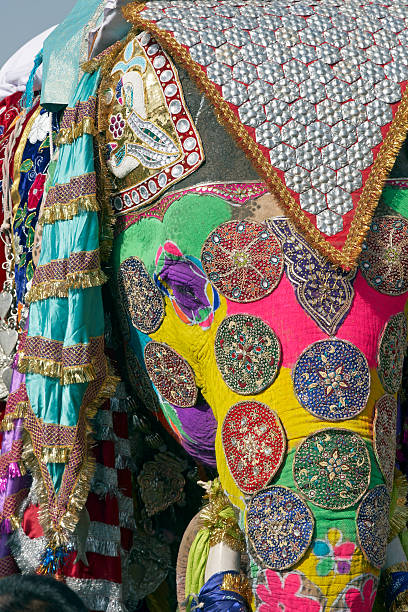 istock The Jaipur Elephant Festival 96669496
