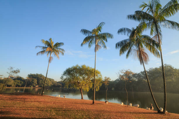 istock Sunrise in Sao Paulo 966696950