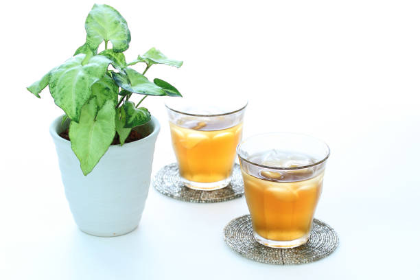 istock barley tea or roasted green tea 966697158
