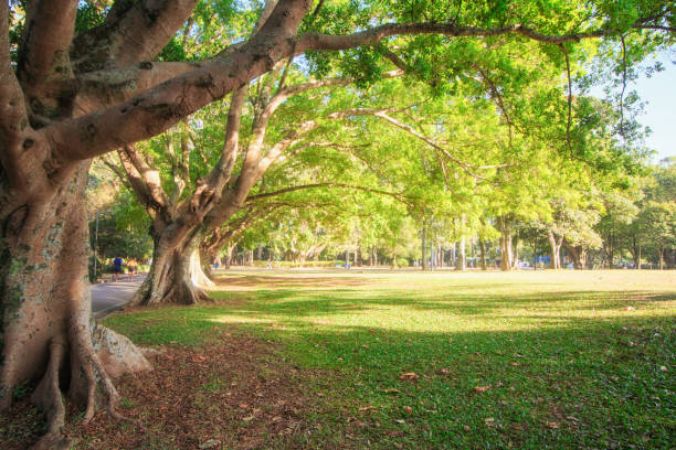 Ibirapuera Public Park in Sao Paulo Brazil