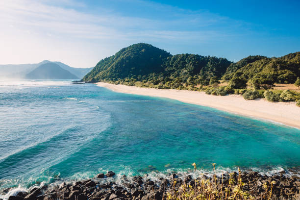 Tropical sandy beach and waves for surfing in ocean with blue sky