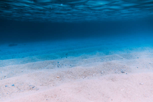 istock Tropical sand is underwater. Sea texture in Pacific ocean. 966706016