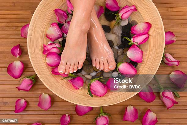 Pedispa Stock Photo - Download Image Now - Pedicure, Rose - Flower, Adult