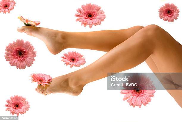 Pretty Legs Stock Photo - Download Image Now - Adult, Beautiful People, Beautiful Woman