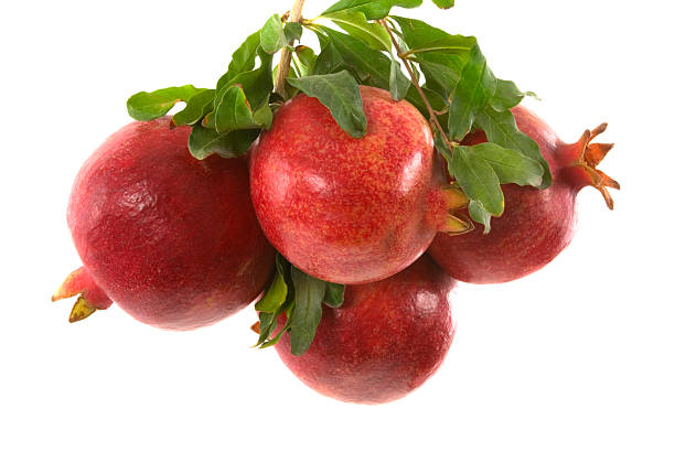 Organic Pomegranates stock photo