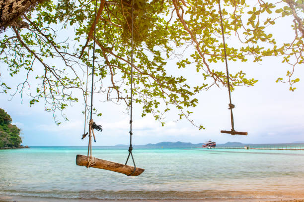 istock Wooden swing hanging on a tree at the sand beach. 966726010