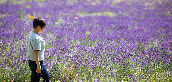 chinese female walking in lavender field in province, france during summer
