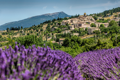 Gordes , Province France as background of the lavender field during summer