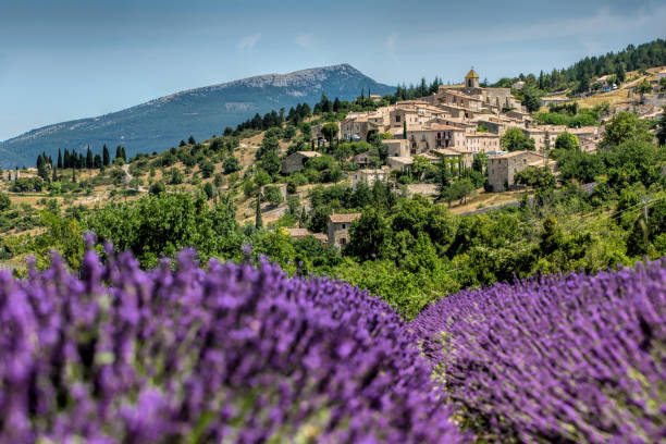 Gordes , Province France as background of the lavender field during summer Gordes , Province France as background of the lavender field during summer plateau de valensole stock pictures, royalty-free photos & images