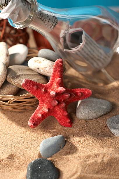 istock Sea still-life the message in a bottle 96673987