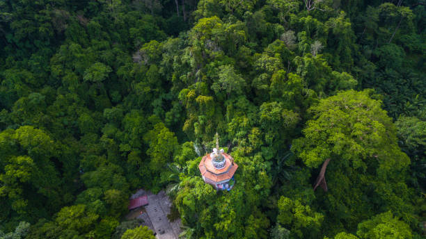 istock the high pagoda on the mountain 966750406