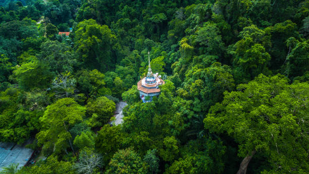 istock the high pagoda on the mountain 966750434