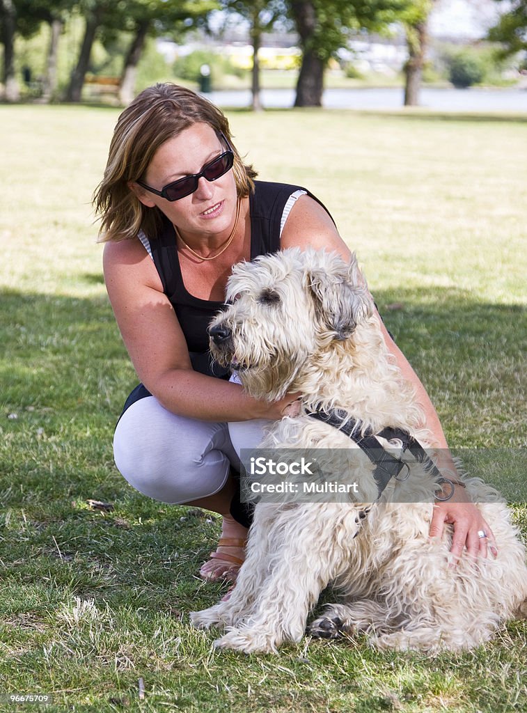 Training der Hund - Lizenzfrei Anweisungen - Konzepte Stock-Foto