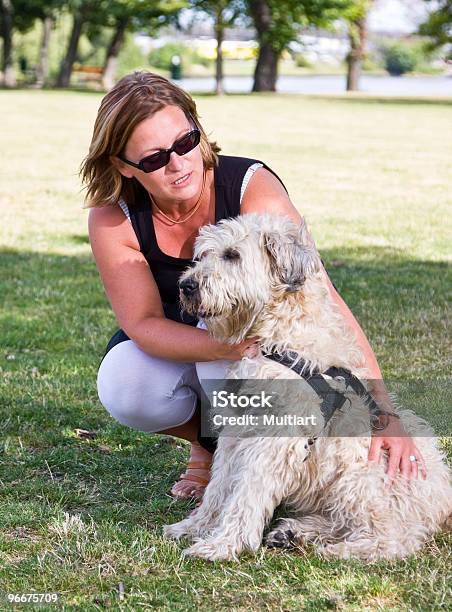 Formazione Il Cane - Fotografie stock e altre immagini di Addestratore di animali - Addestratore di animali, Adulto, Allegro