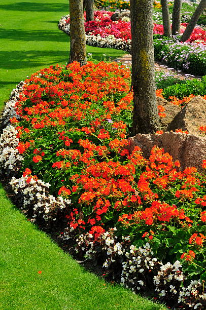 istock St,Brelade paks and gardens,Jersey. 96677066