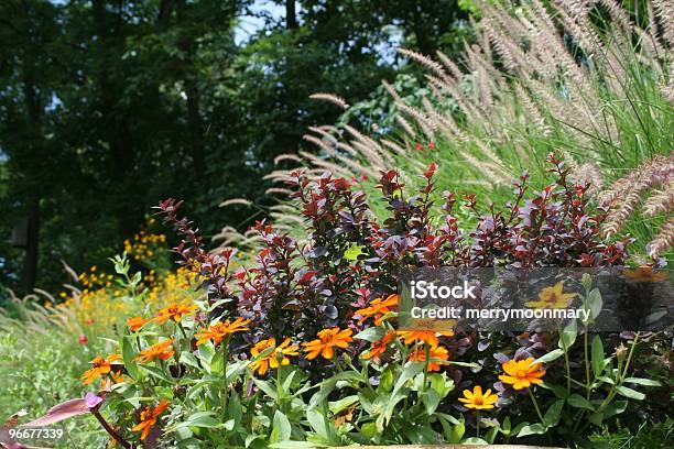 Photo libre de droit de Jardin Dété Sur La Colline banque d'images et plus d'images libres de droit de Août - Août, Beauté de la nature, Berbéris