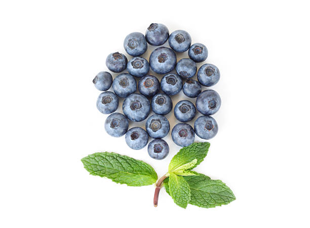 Blueberry fruit stock photo