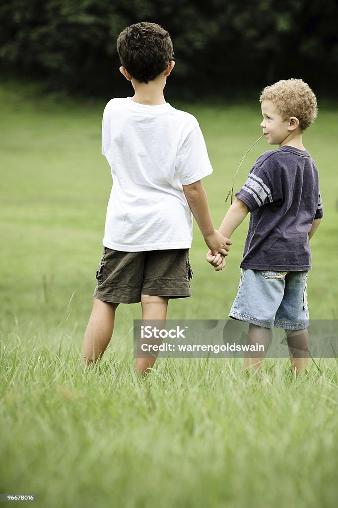 Fratelli tenere le mani in campo - Foto stock royalty-free di Bambino