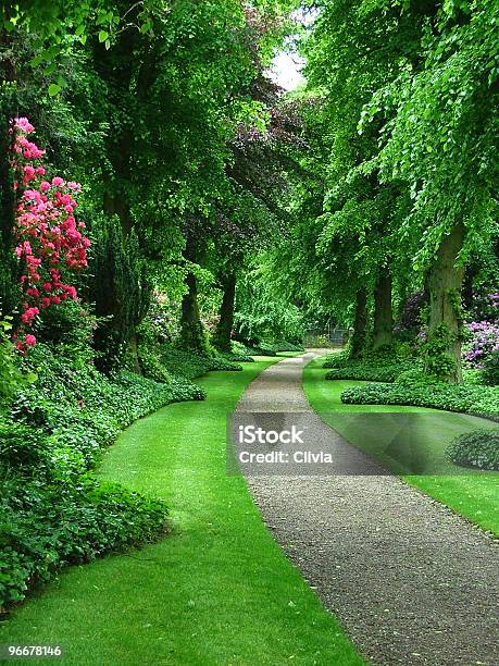 Garden Path Stock Photo - Download Image Now - Bush, Beauty In Nature, Border - Frame