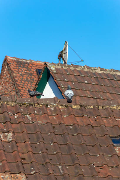 istock city facades rooftops antenna chimney 966783222