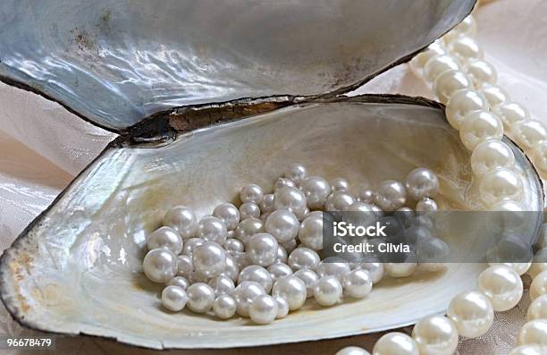 Ostras Y Perlas Foto de stock y más banco de imágenes de Bivalvo - Bivalvo, Cofre del tesoro, Collar de perlas - Joyas