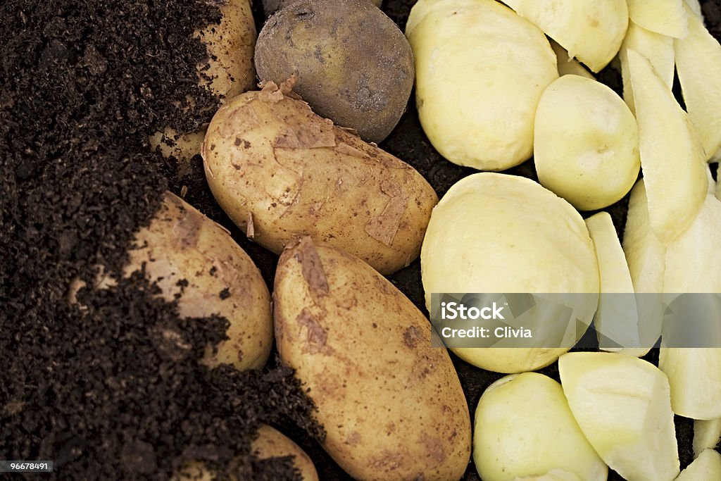 Potatos (patate - Foto stock royalty-free di Bianco