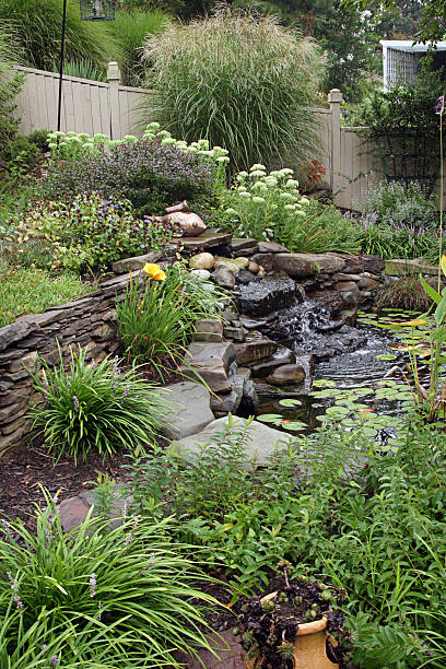 istock Landscaped Backyard garden pond 96678863