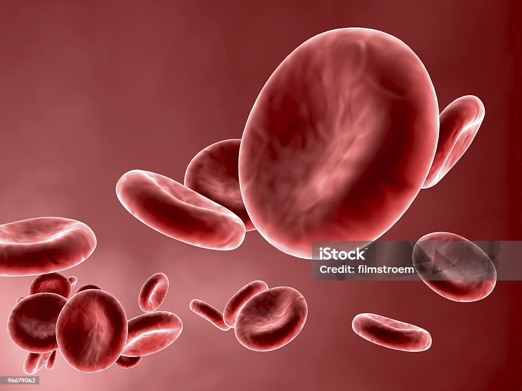 Cellule del sangue - Foto stock royalty-free di Biologia