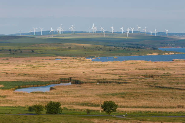 istock Wind turbines in spring in Dobrogea, Romania 966792036
