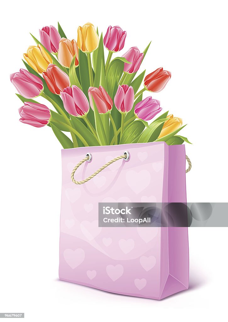 bouquet of tulip flowers in the bag bouquet of tulip flowers in the pink bag - vector illustration Bag stock vector