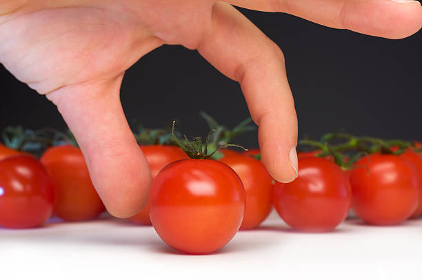 Sie ein Tomaten – Foto