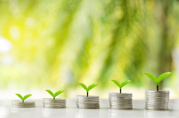 istock five thai coin stacks on plant background 966802620