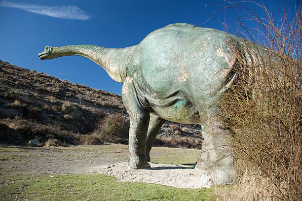 Parte de trás do dinossauro grande Boneca - fotografia de stock