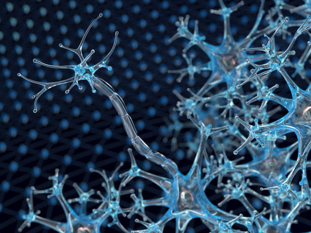 istock Nerve cells, myelin sheath 966808496