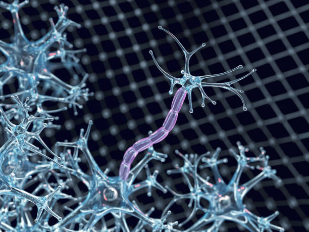 istock Nerve cells, myelin sheath 966808506