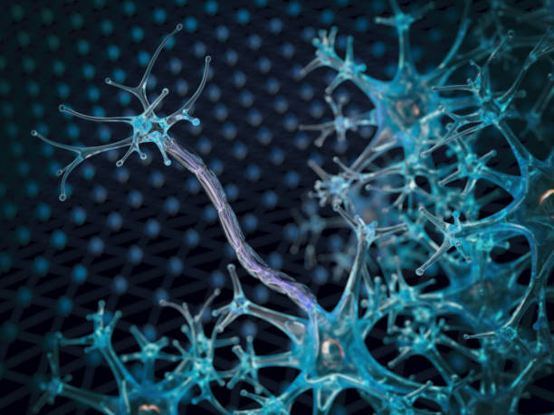 istock Nerve cells, myelin sheath 966808542