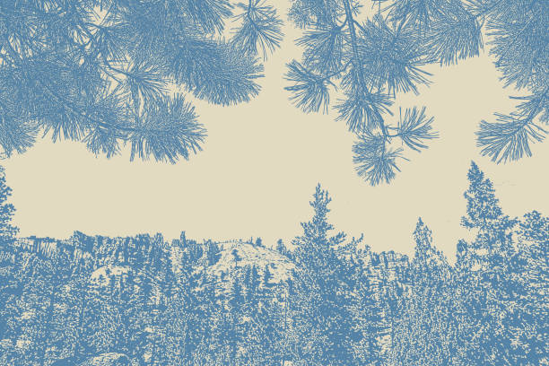 Pen and ink illustration of Bryce Canyon and Ponderosa Pine background