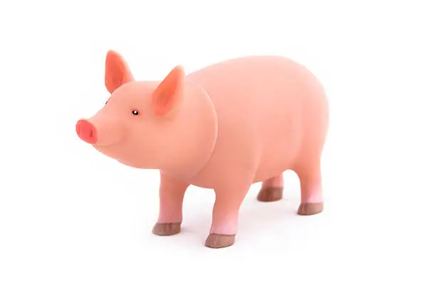 Photo of Toy Pig