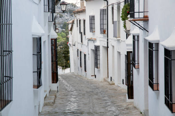 Street Scene; Grazalema; Andalusia; Spain