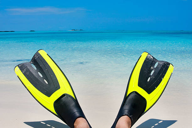 istock Scuba Fins on the Caribbean Beach 96681924